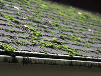 Basingstoke conservatory roof cleaning