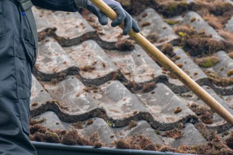 Roof Moss Removal Basingstoke RG21-RG29