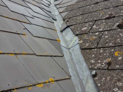 Basingstoke roof moss removal